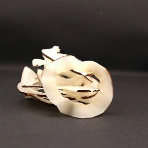 Кокос (коктейльний)